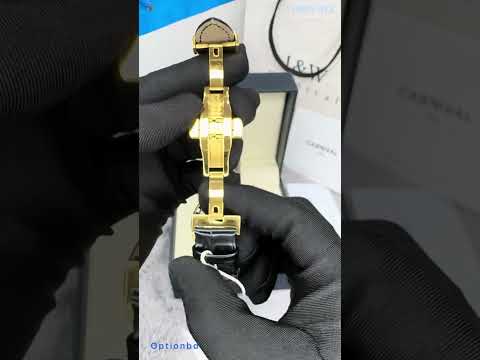 Carnival 8762g Kinetic Power Display Automatic Stainless Steel Dial & Genuine Leather Strap Men’s Watch