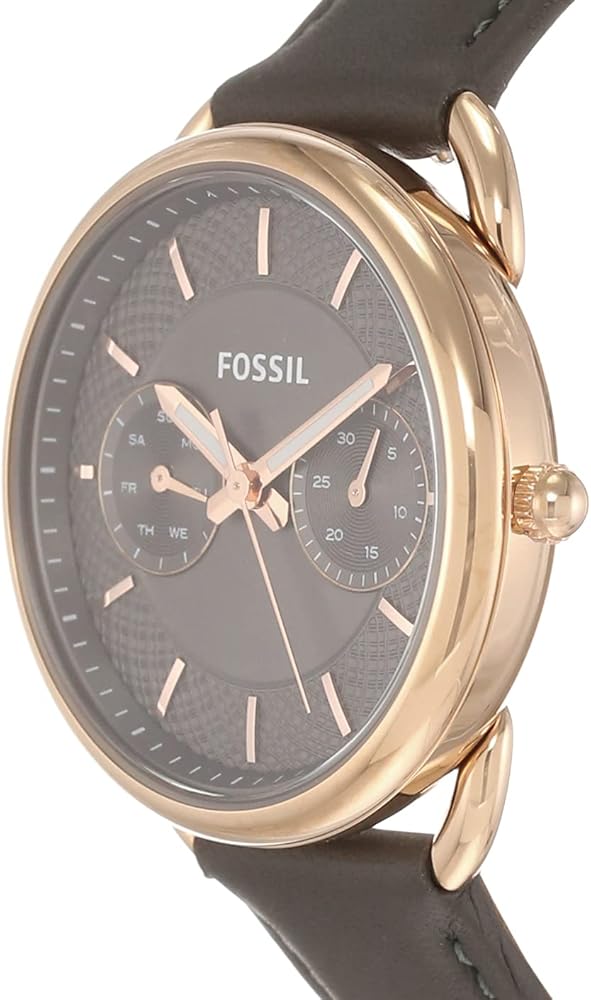 Fossil ES3913 Quartz Genuine Leather Women’s Watch