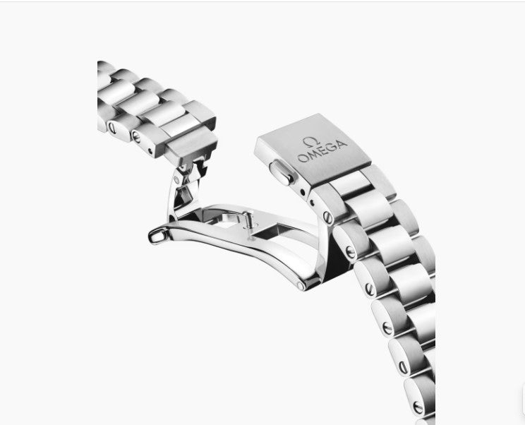 Omega Seamaster Aqua Terra  Ref: 220.10.41.21.03.006 41mm Swiss Grade Men’s Watch